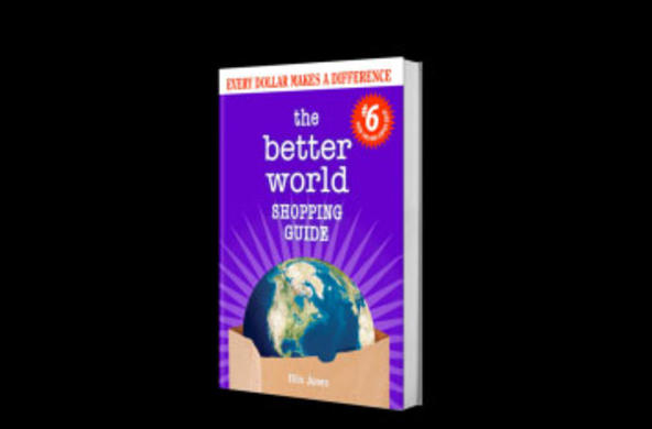 book cover: the better shopping world