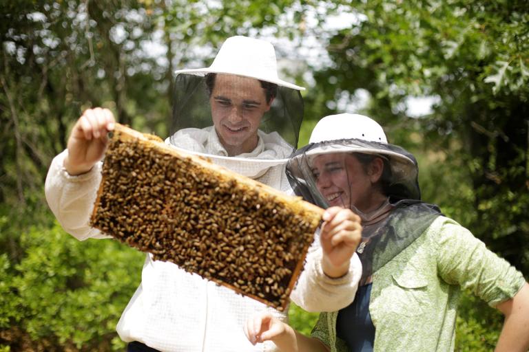 Two students in honey bee hats looking at honey bees.