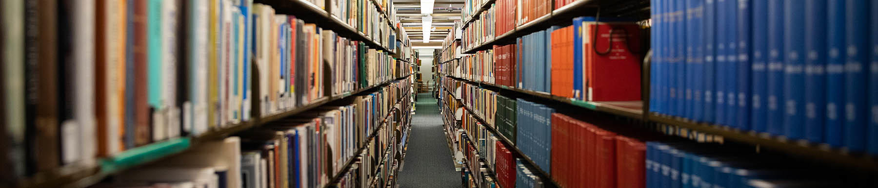 Books in Dinand library