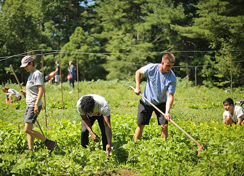 Food history summer class taught by visiting lecturer Christopher Staysniak visits Cotyledon Farm in Leicester, MA. Photo by Tom Rettig