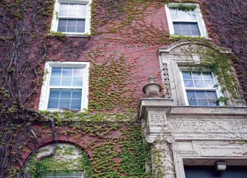 Ivy covers Wheeler's brick facade in the spring.