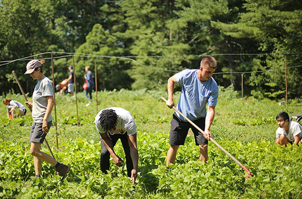 Food history summer class taught by visiting lecturer Christopher Staysniak visits Cotyledon Farm in Leicester, MA. Photo by Tom Rettig